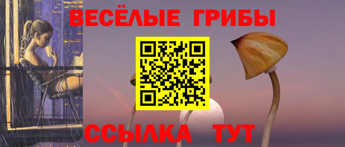 Псилоцибиновые грибы Psilocybine cubensis Ноябрьск