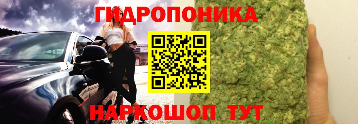Ноябрьск  Бошки марихуана Bruce Banner  Вход с VPN  Канабис марихуана 